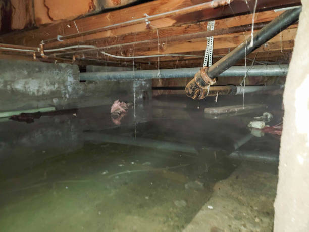 Best Water damage restoration near me  in Hudson Oaks, TX