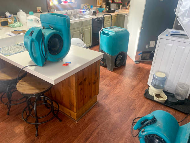 Best Fire Damage Restoration  in Hudson Oaks, TX