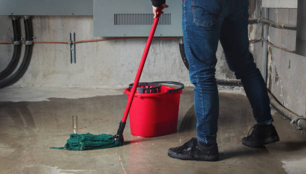 Best Flood damage cleanup  in Hudson Oaks, TX