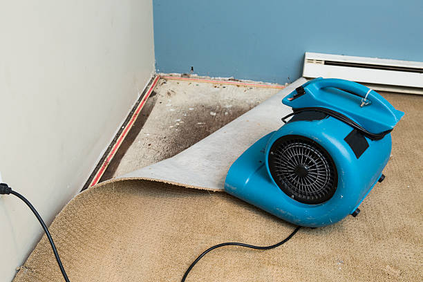 Best Professional water damage repair  in Hudson Oaks, TX